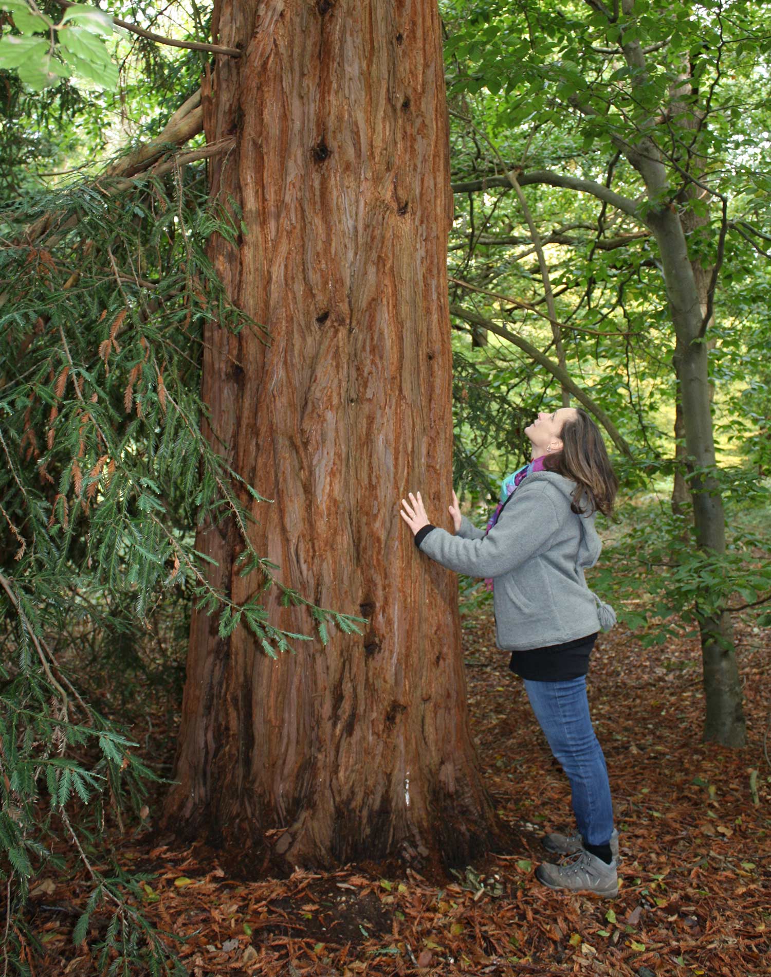 Yoma Soul - Yoga, Meditation Classes, Mediumship and Psychic Readings - Colchester, Essex